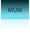 MUM